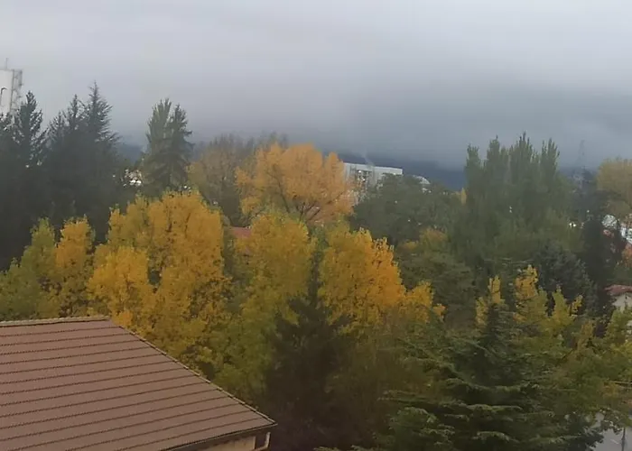 Mi Lugar Favorito Sabi